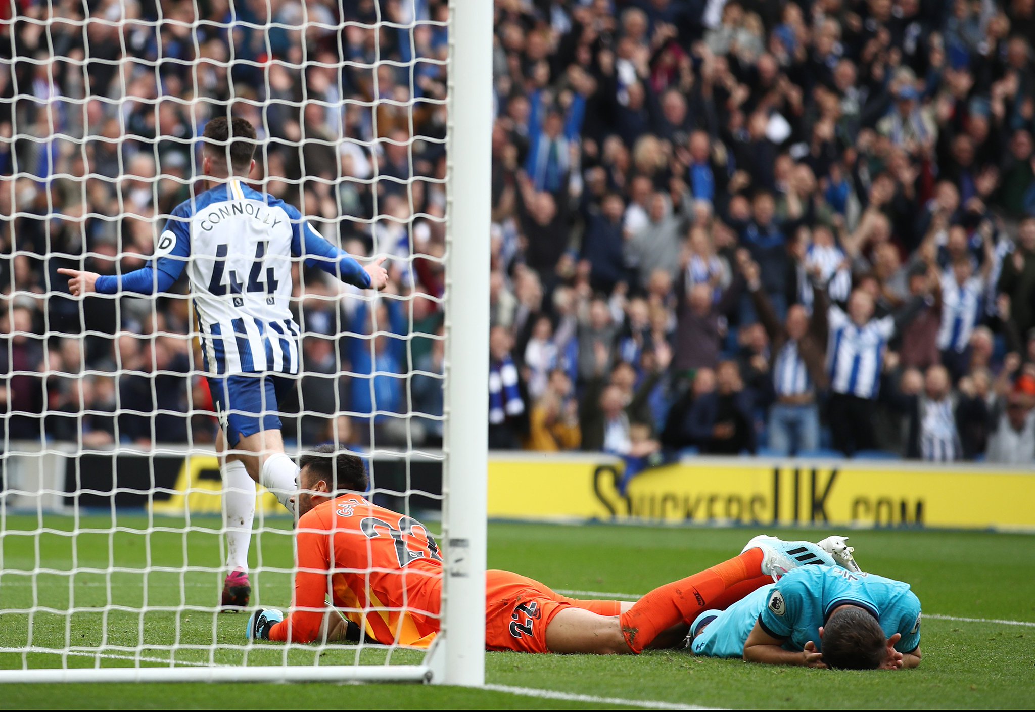 波兰裁判马 波兰裁判马